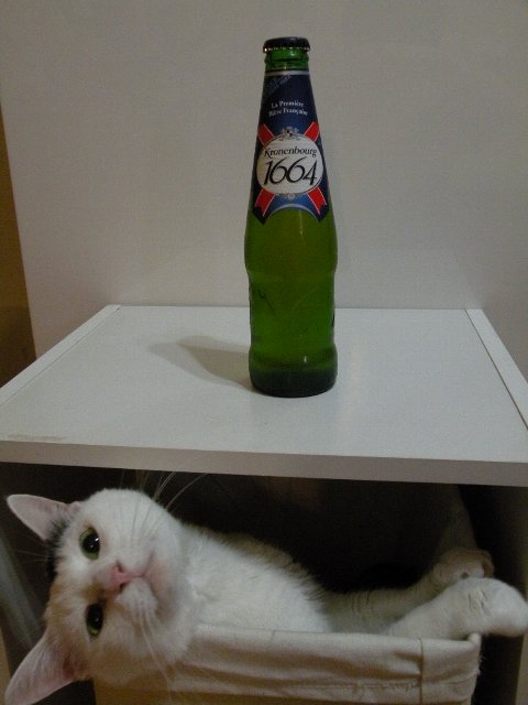 kronenbourg01.jpg