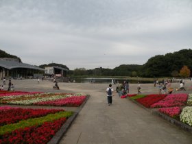 21世紀の森と広場のメイン広場