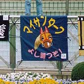 �}�C�T���^�[�t���f��